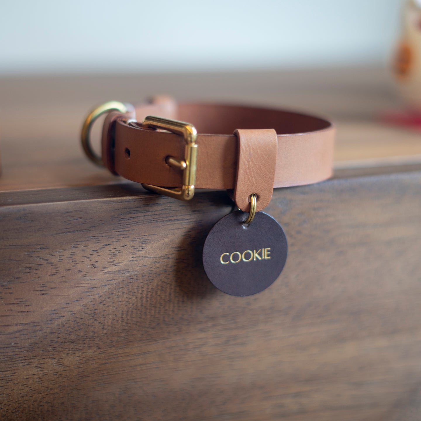 Pet Collar Workshop - New Bahru