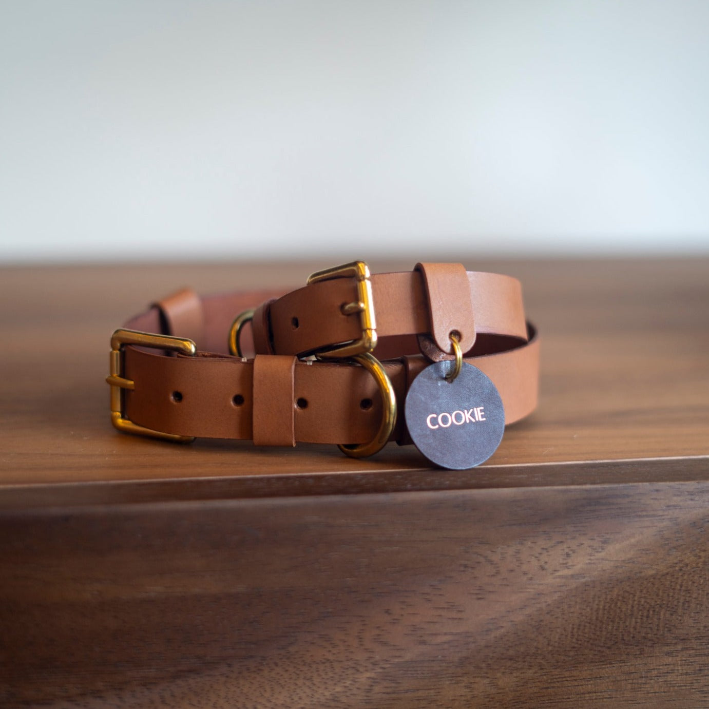 Pet Collar Workshop - New Bahru