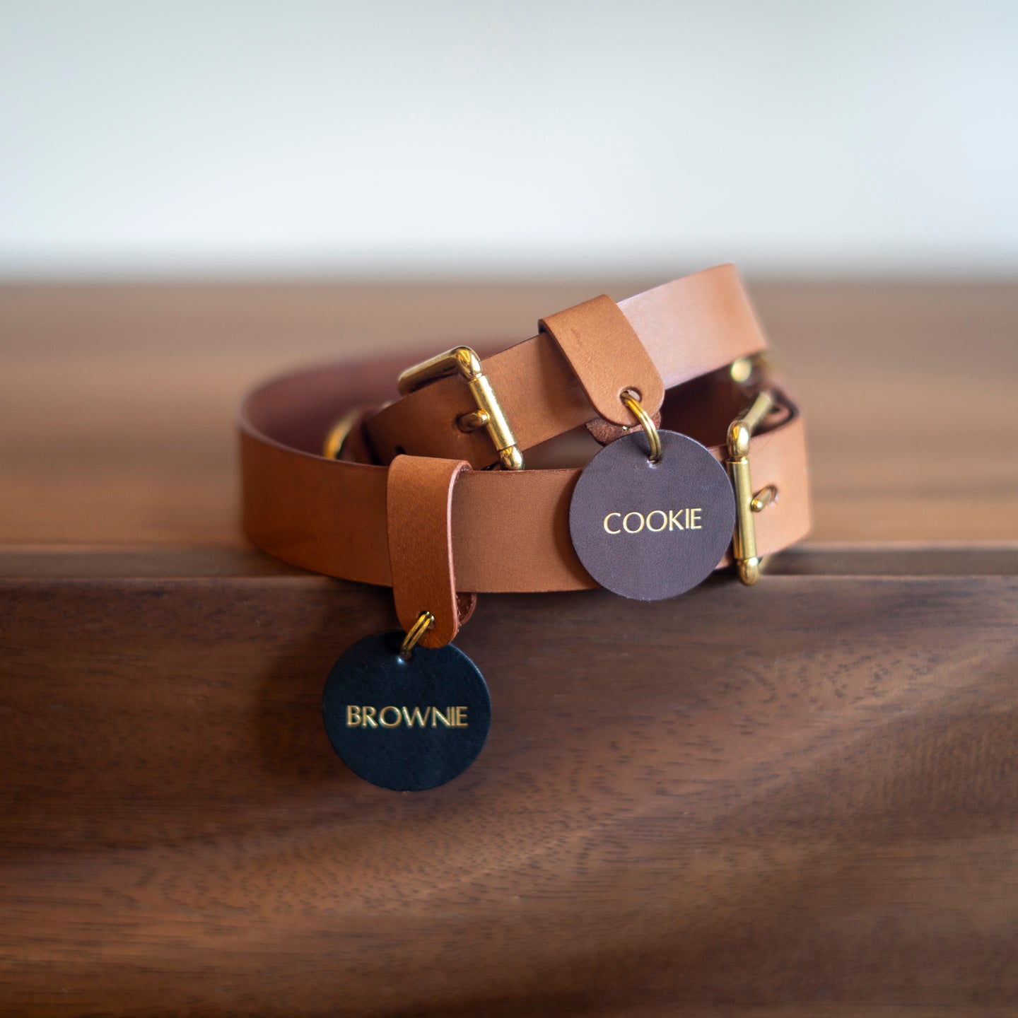 Pet Collar Workshop - New Bahru