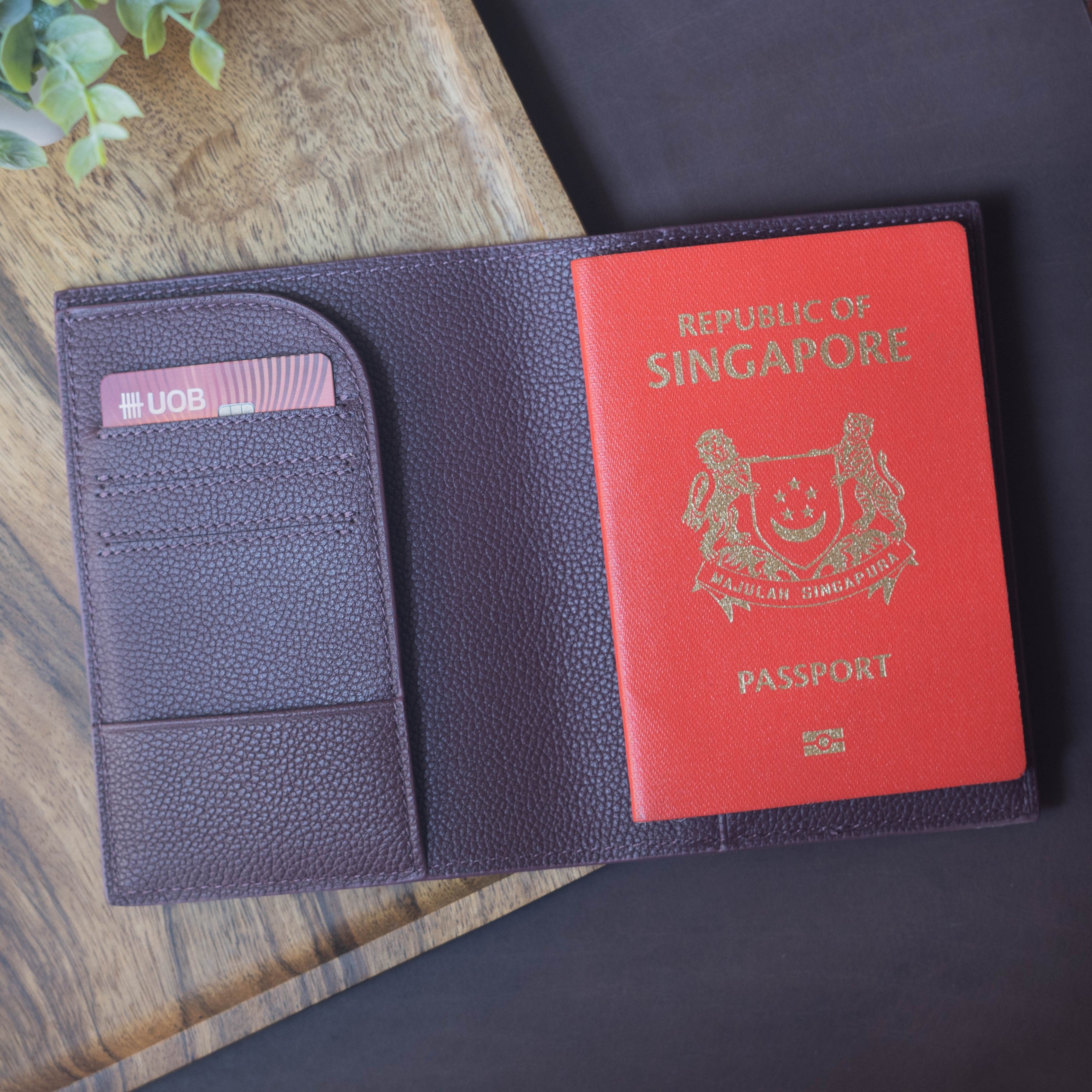 Russet Passport Holder