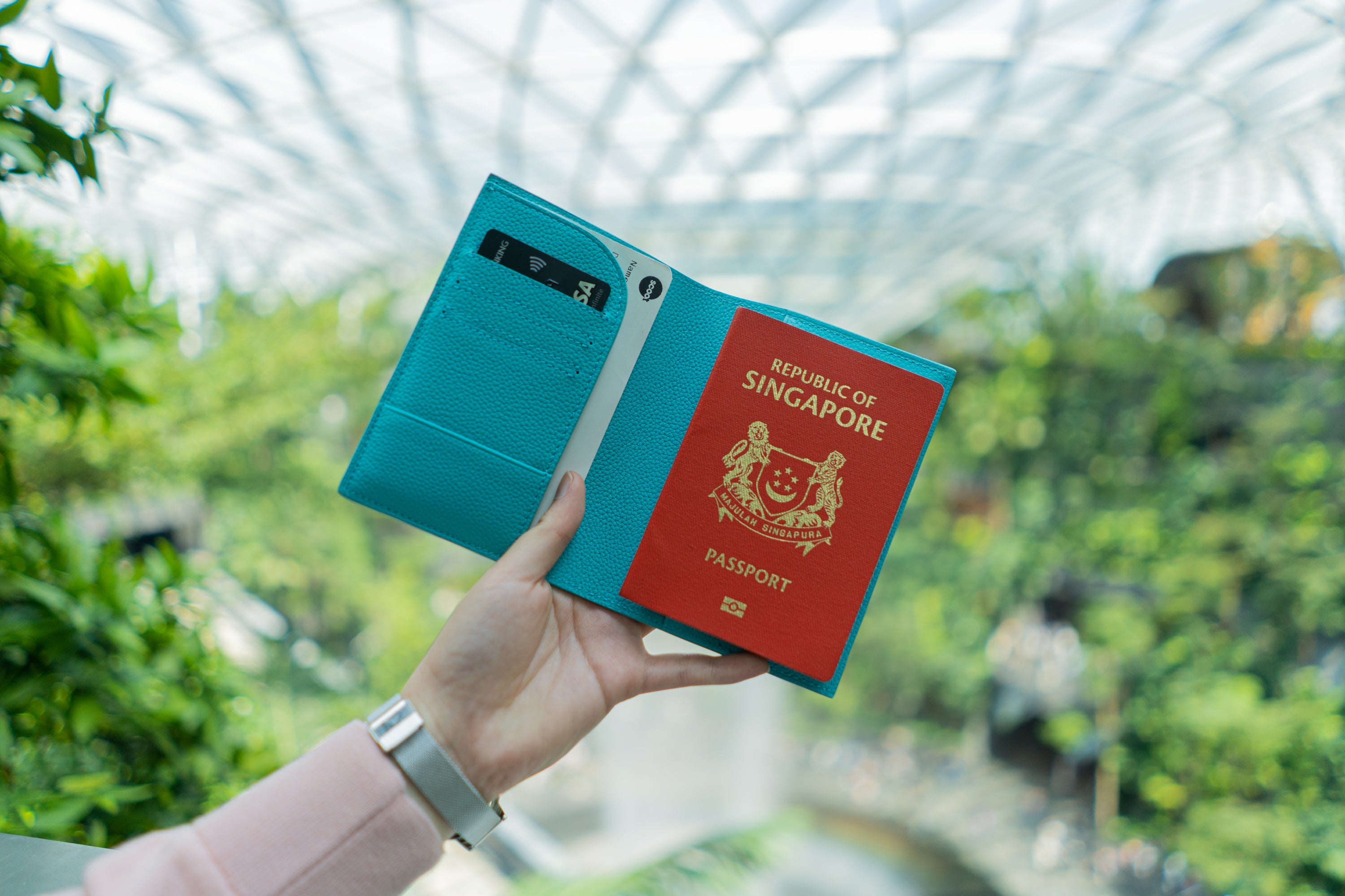 Pitch Black Passport Holder