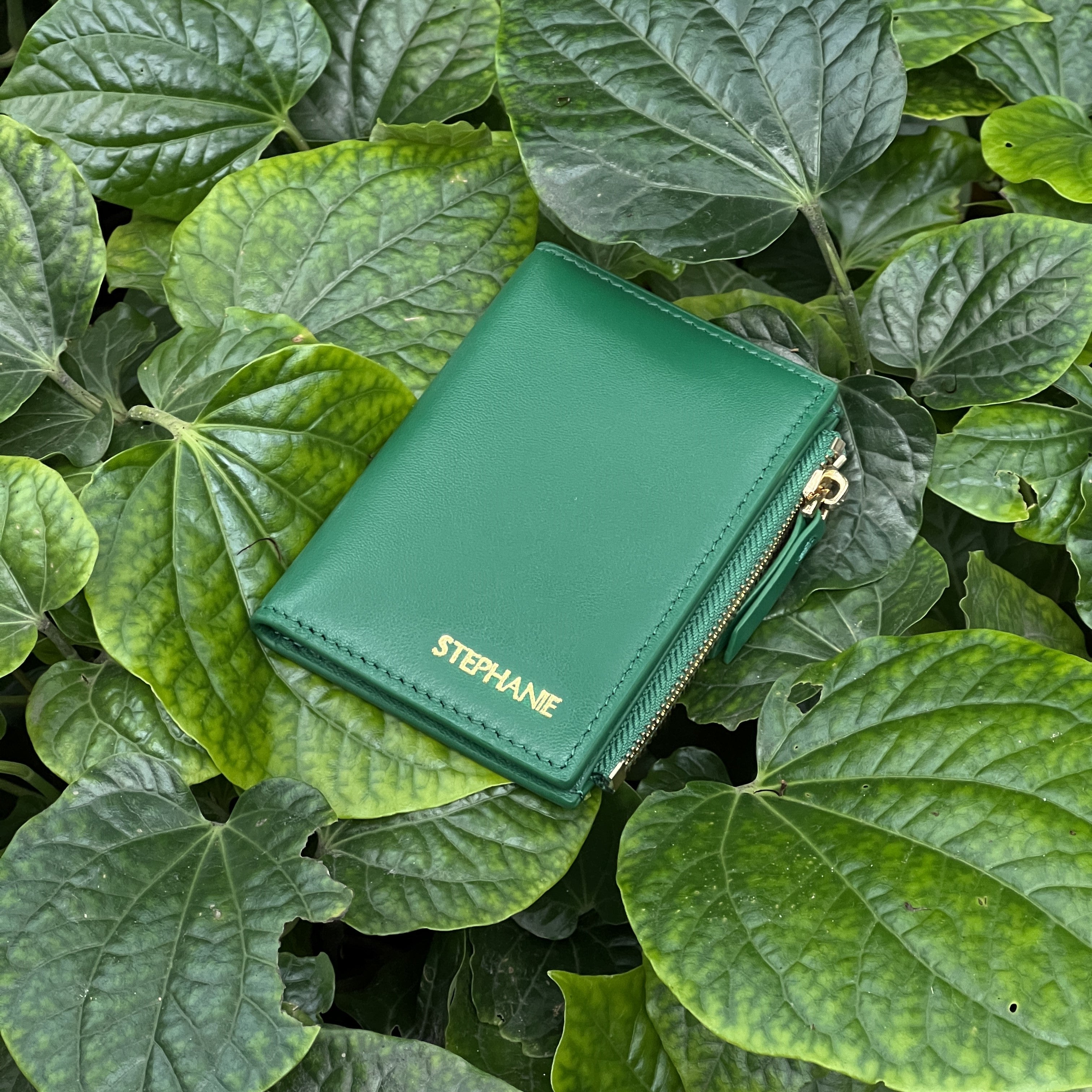 Zip Bifold - Spinach