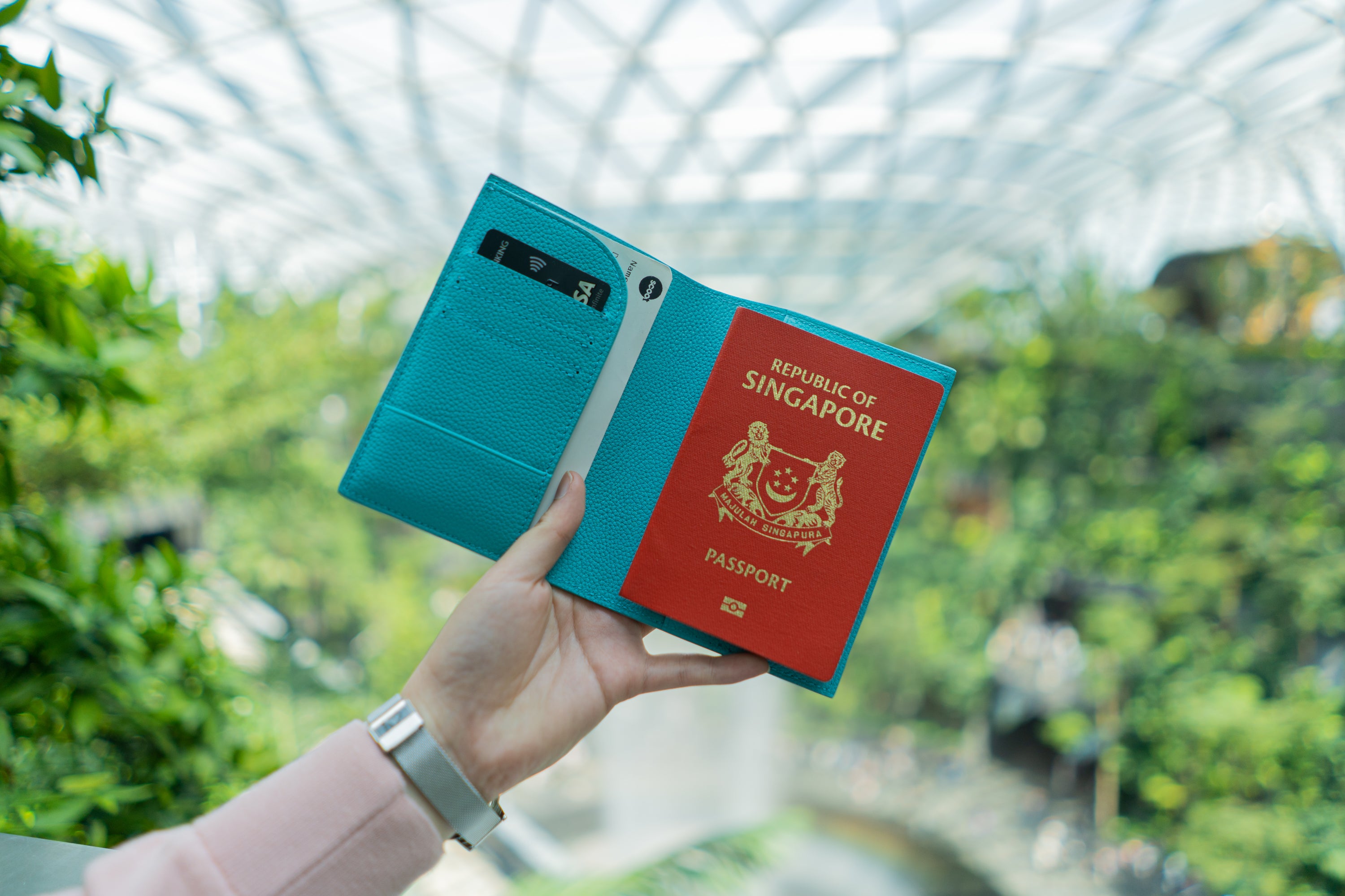 Slate Blue Passport Holder